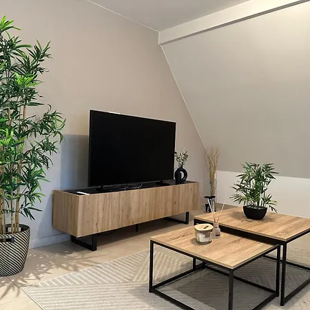 Appartement Moderne Grande Terrasse Molsheim