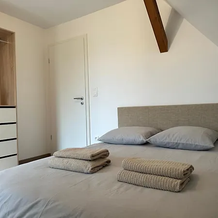 Moderne Grande Terrasse Appartement Molsheim